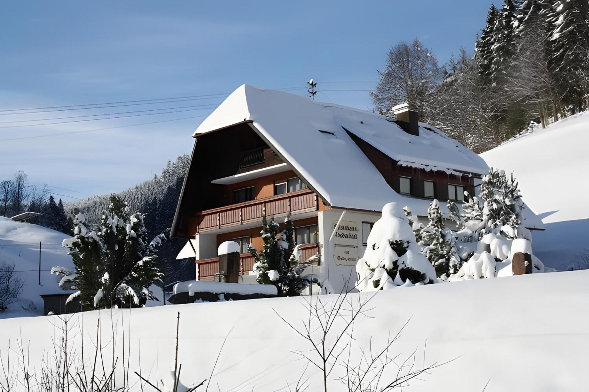 Gaestehaus Absbachtal Bad Rippoldsau-Schapbach Zewnętrze zdjęcie