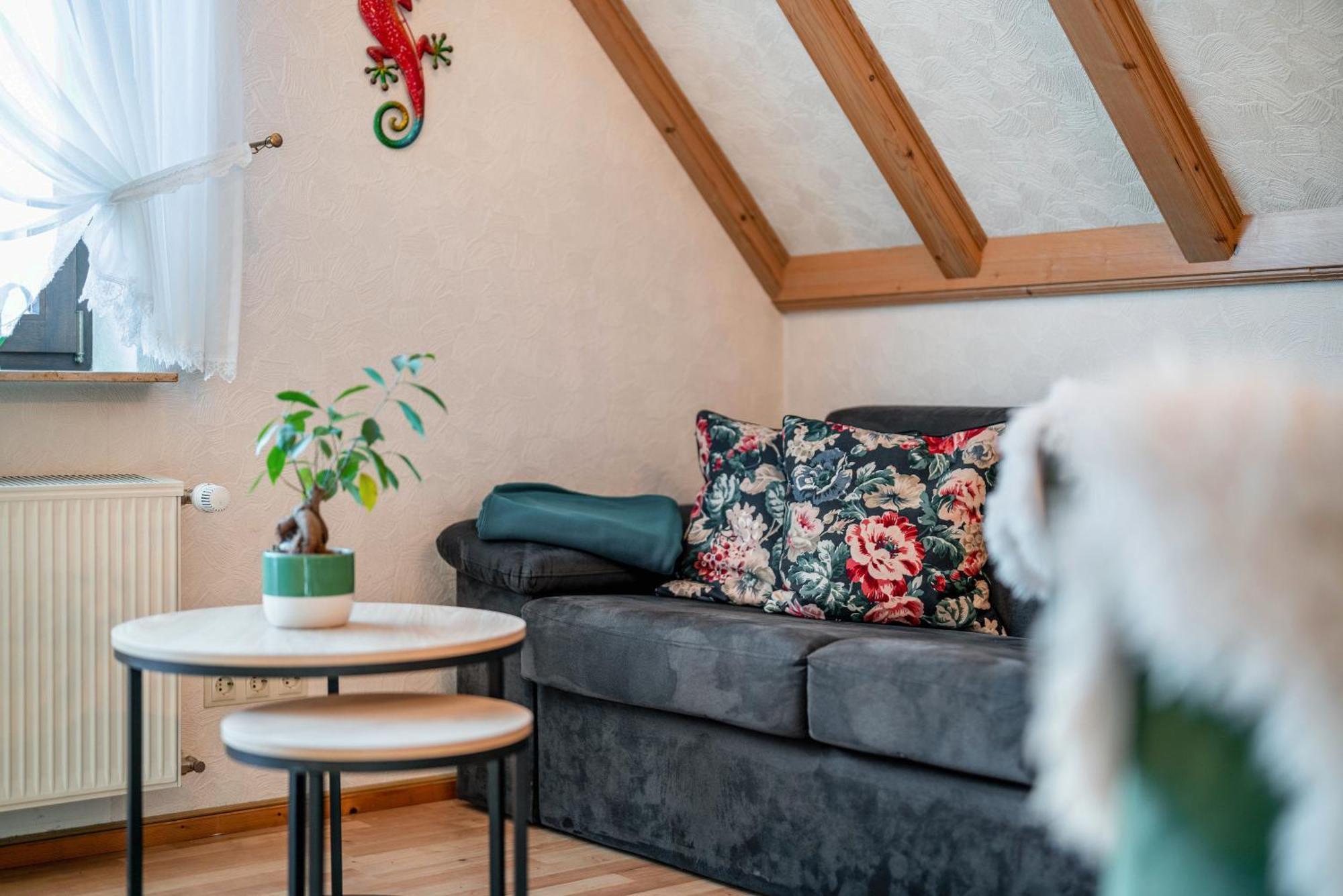 Gaestehaus Absbachtal Bad Rippoldsau-Schapbach Zewnętrze zdjęcie